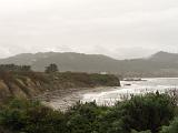 Ano Nuevo SP 03